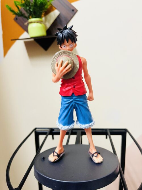 Monkey D. Luffy Action Figure – 18 cm (Figure -4 )